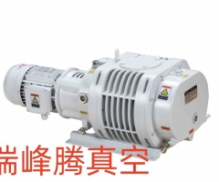 鲍斯BSJ150L直连式罗茨真空泵