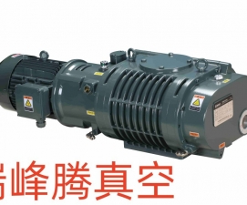 汨罗鲍斯BSJ300L直连式罗茨真空泵